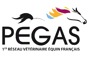 Logo Pegas